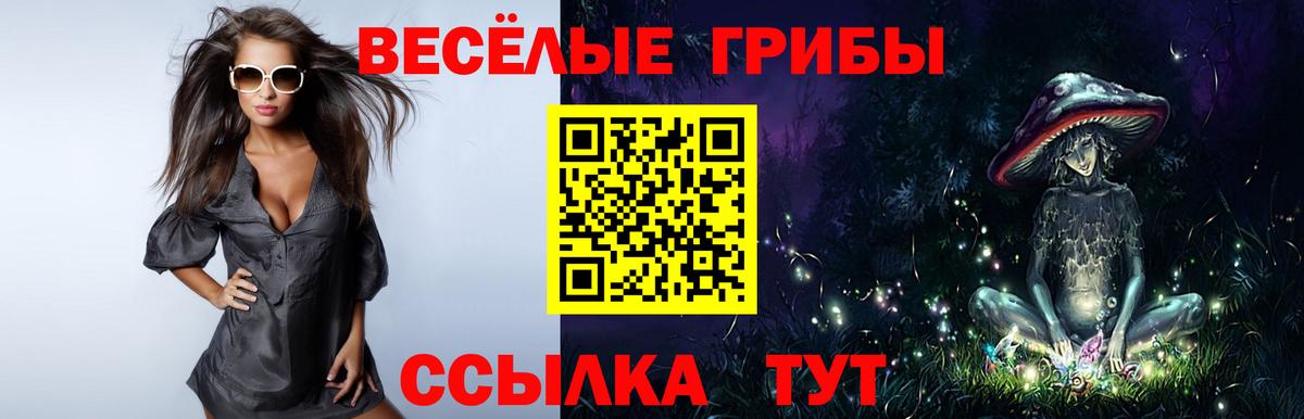 Урюпинск  Галлюциногенные грибы ЛСД  Вход с VPN  где купить наркоту  Галлюциногенные грибы прущие грибы 